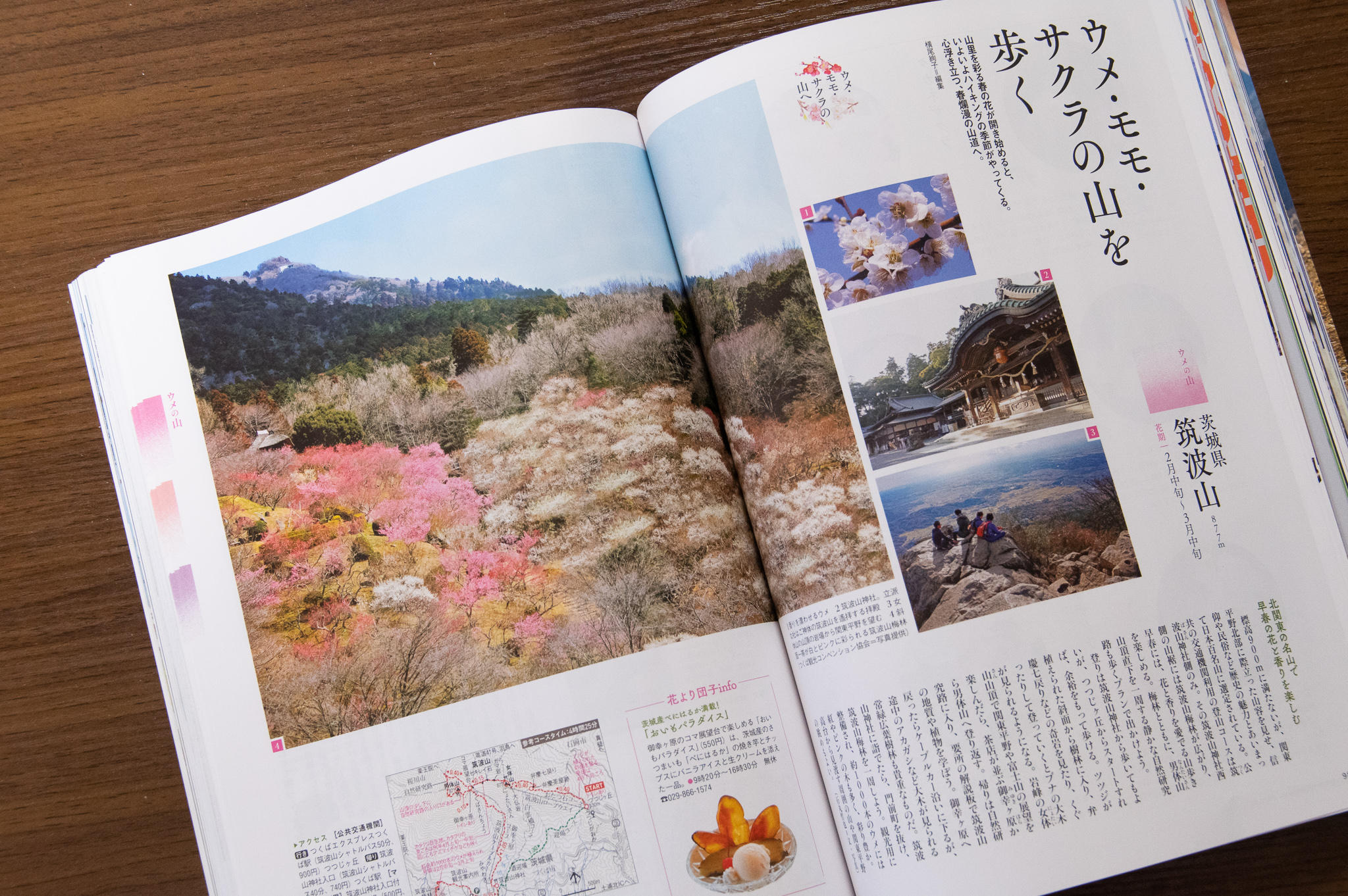3月号発売です 山と溪谷 編集部ブログ 山と溪谷社
